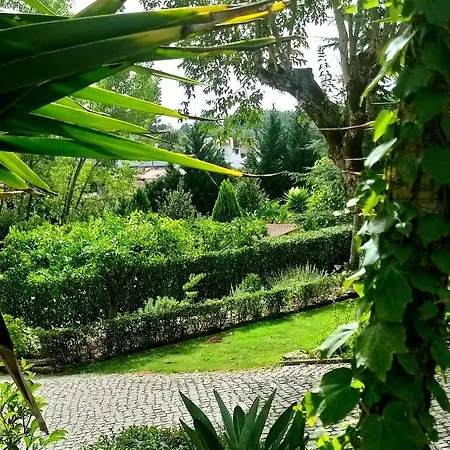 Casa de hóspedes Dos Castanheiros 4*