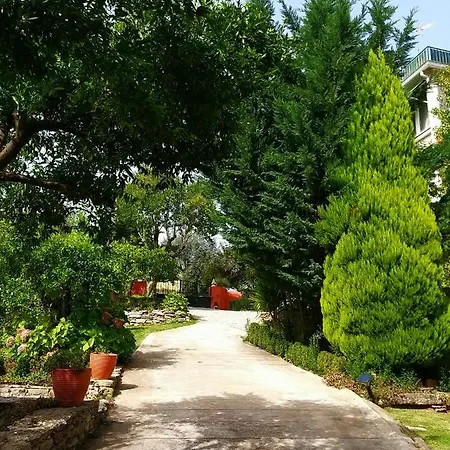 Dos Castanheiros Πανσιόν Ferreira do Zêzere