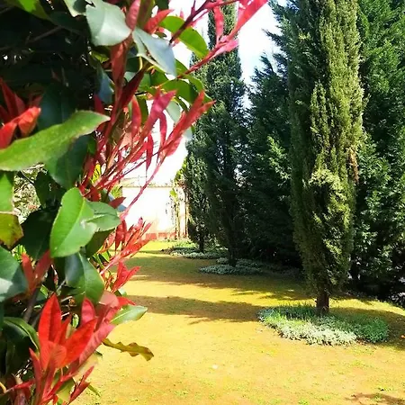 Dos Castanheiros Ferreira do Zêzere