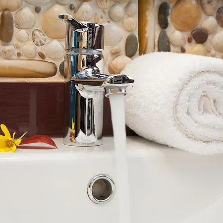 Vendégház Dos Castanheiros 4*