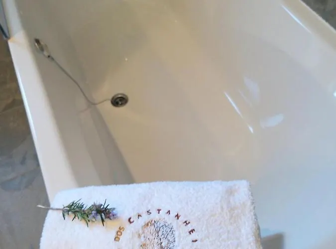 Pensjonat Dos Castanheiros 4*