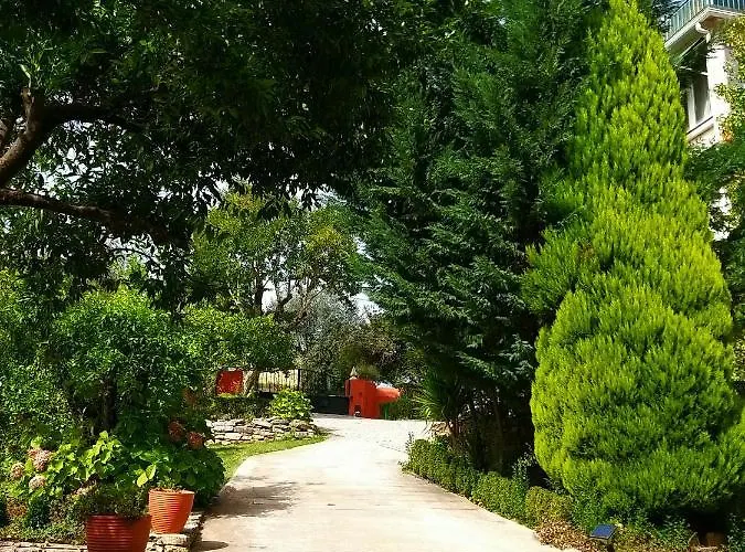 Dos Castanheiros Pensjonat Ferreira do Zêzere