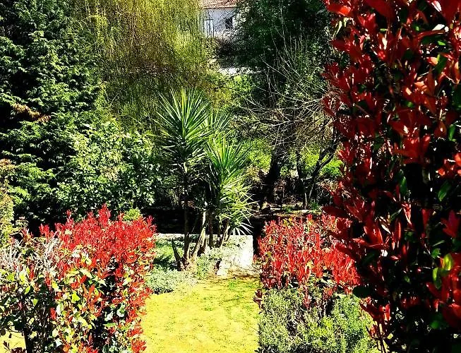 Dos Castanheiros Pensjonat 4*