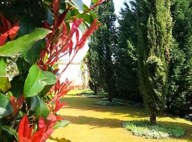 Dos Castanheiros Ferreira do Zêzere