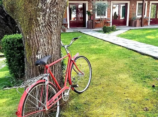 ゲストハウス Dos Castanheiros Ferreira do Zêzere