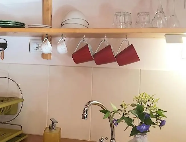 Dos Castanheiros ゲストハウス 4*