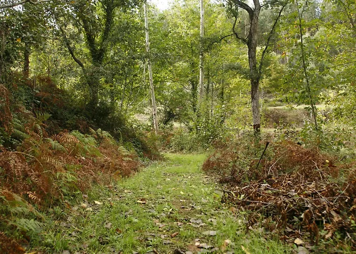 Pensjonat Dos Castanheiros Ferreira do Zêzere
