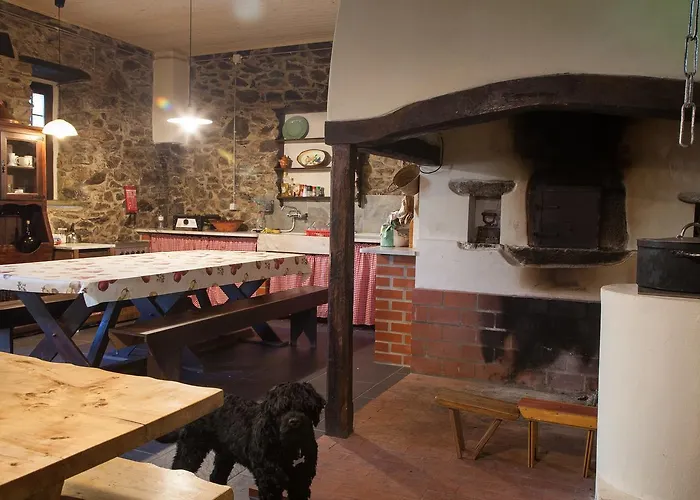 Pensjonat Dos Castanheiros 4*